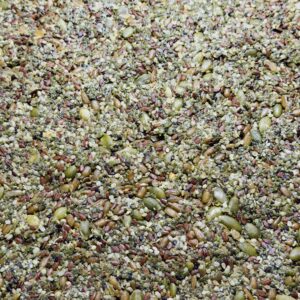 Moringa 7 Seed Crackres